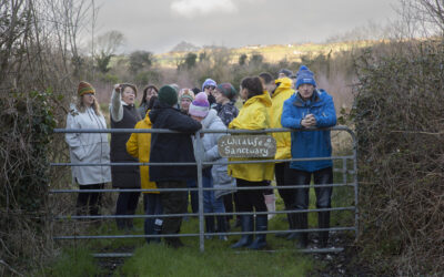 Community Collaborators Intro Evening at The Barna Way