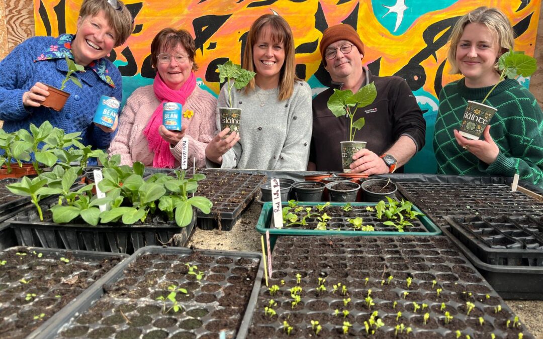 Launch of the Ballybunion Bean Festival