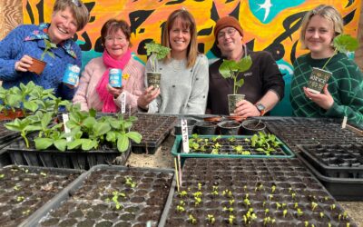 Launch of the Ballybunion Bean Festival