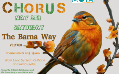 Dawn Chorus – BOOKED OUT