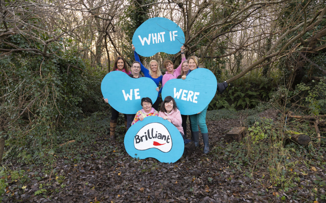 What if We Were Brilliant? – Community Celebration